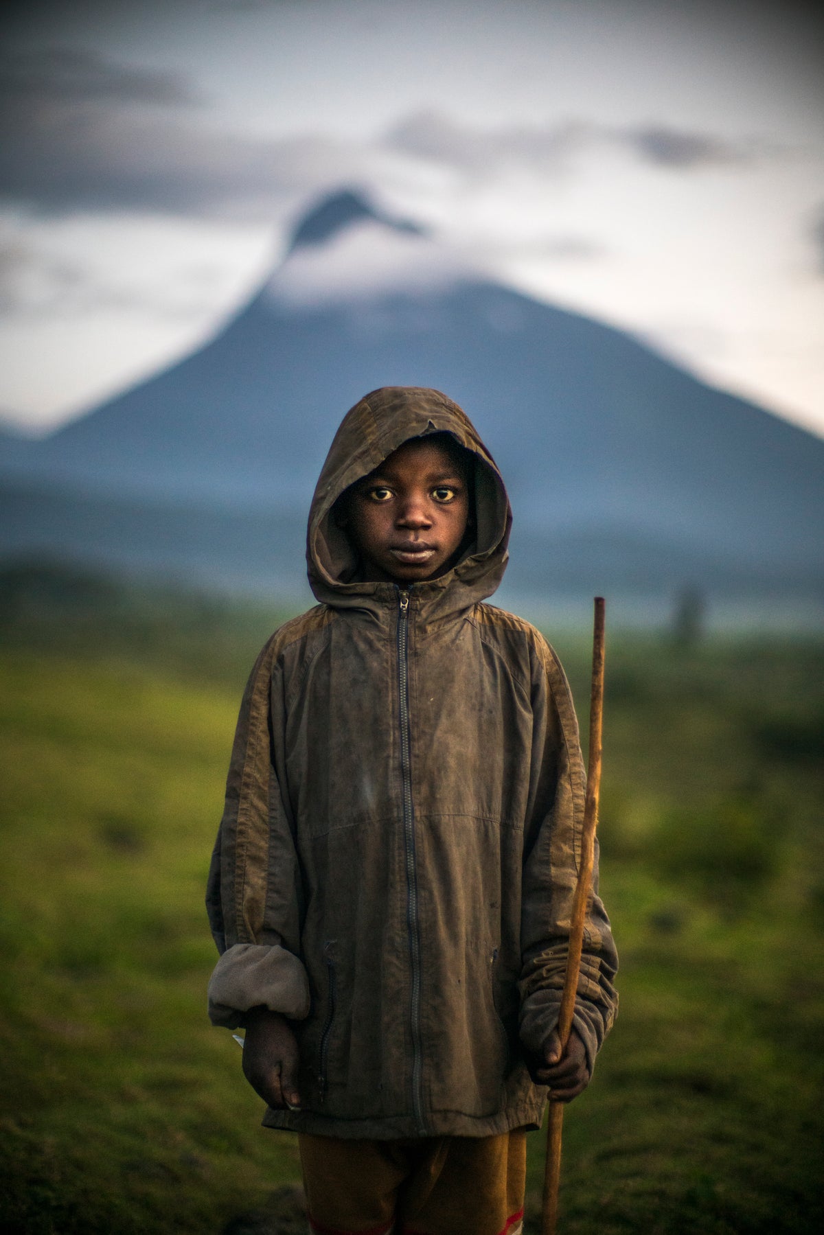 Shepherd (16 x 24") (Print 1 of 5)