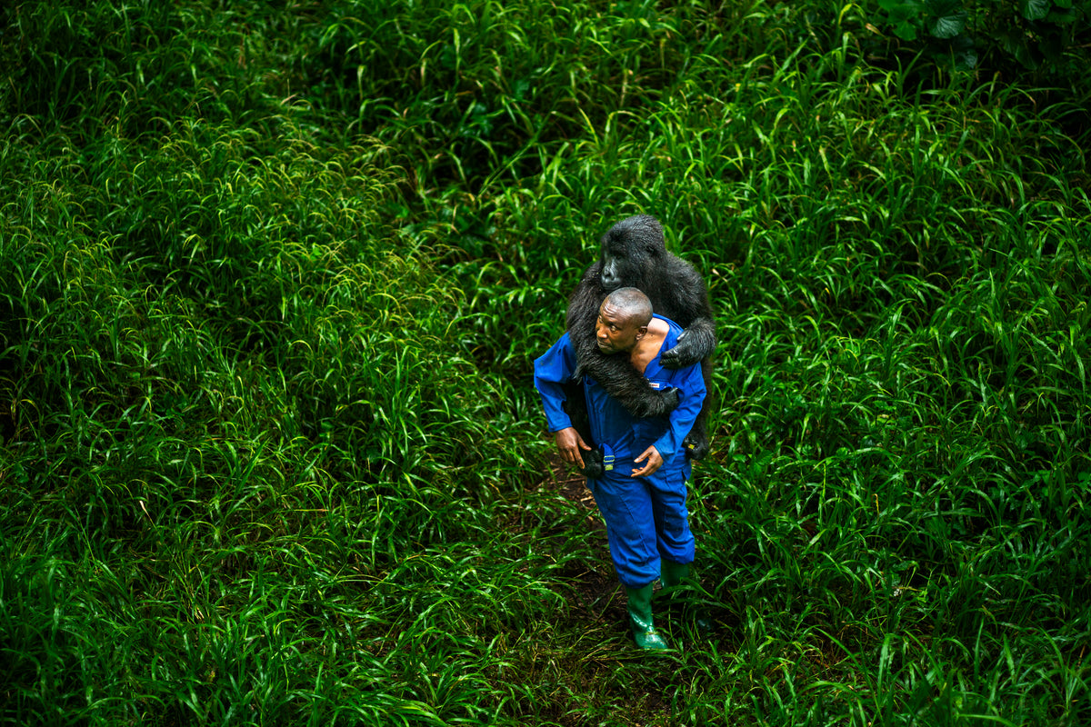 André (4 x 6") (Edition of 50)