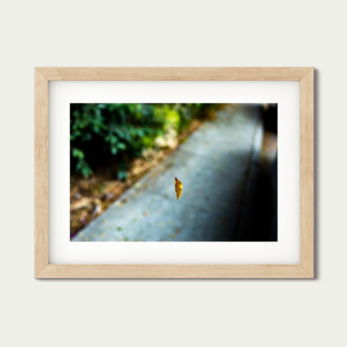 Spider Silk Leaf (18 x 24") (Poster)