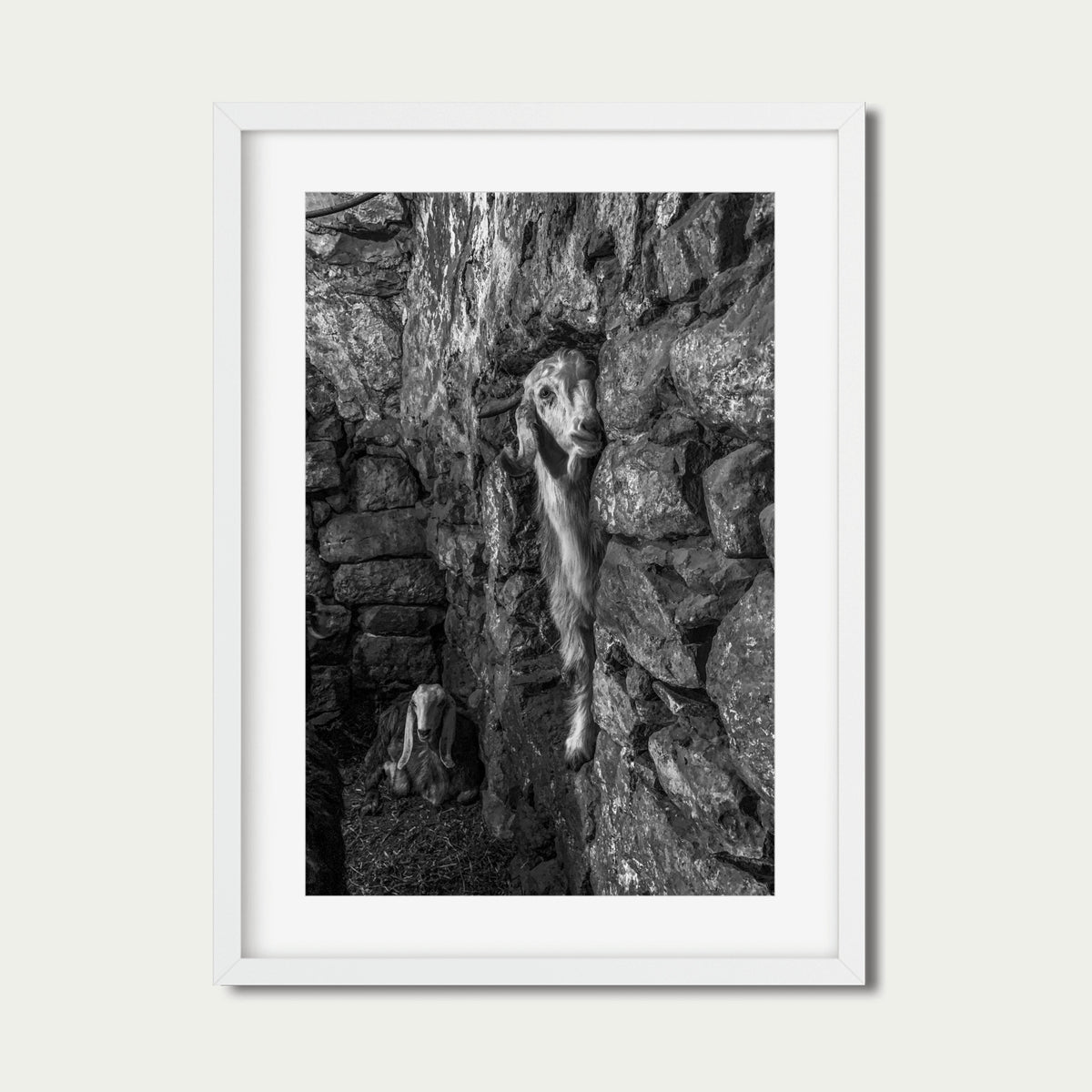 Hebrón (20 x 30") (Impresión 2 de 5)