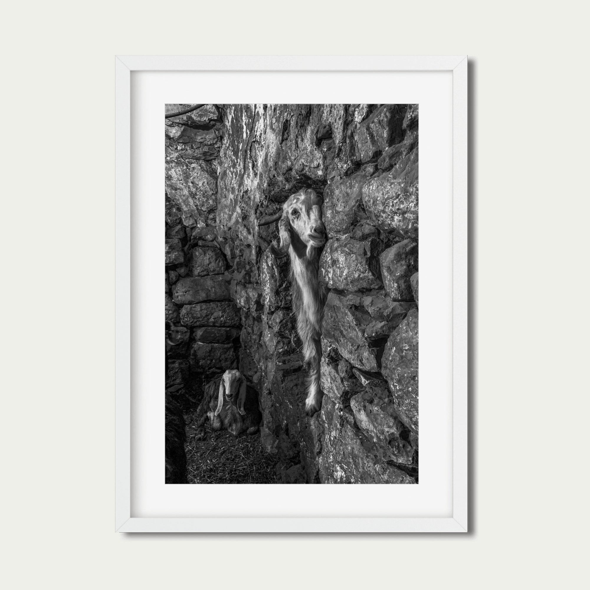 Hebron (20 x 30") (Print 2 of 5)