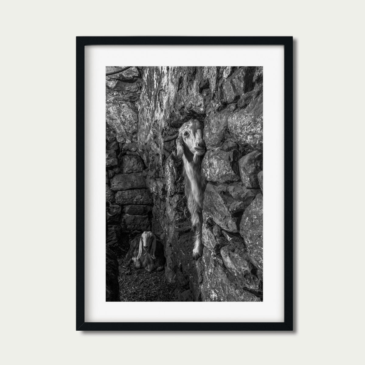 Hebrón (20 x 30") (Impresión 2 de 5)