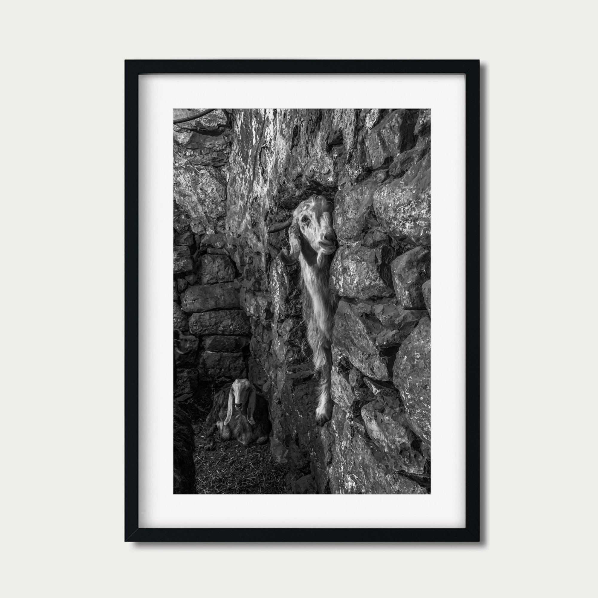 Hebron (20 x 30") (Print 2 of 5)