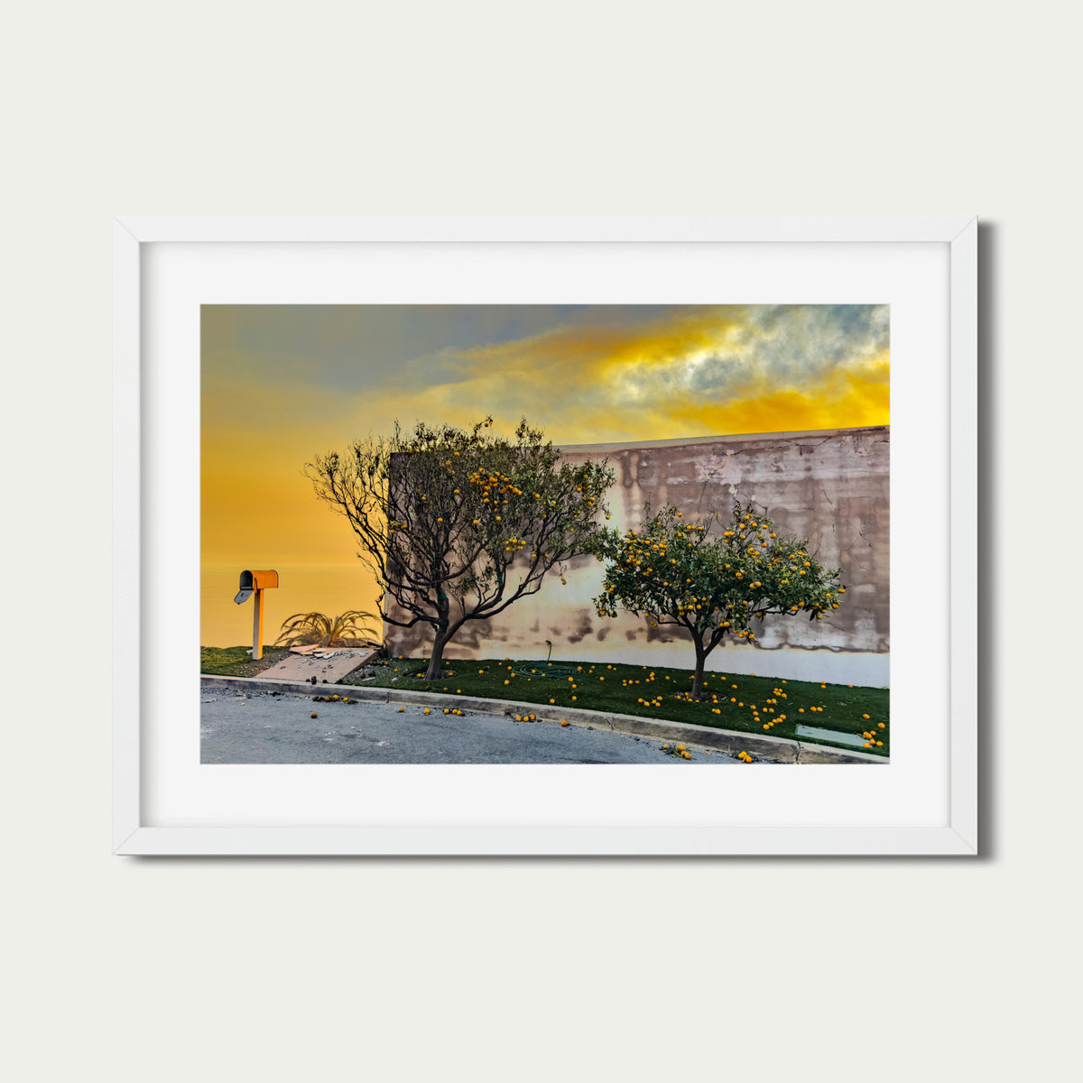 Limones (4 x 6") (Edición de 25)