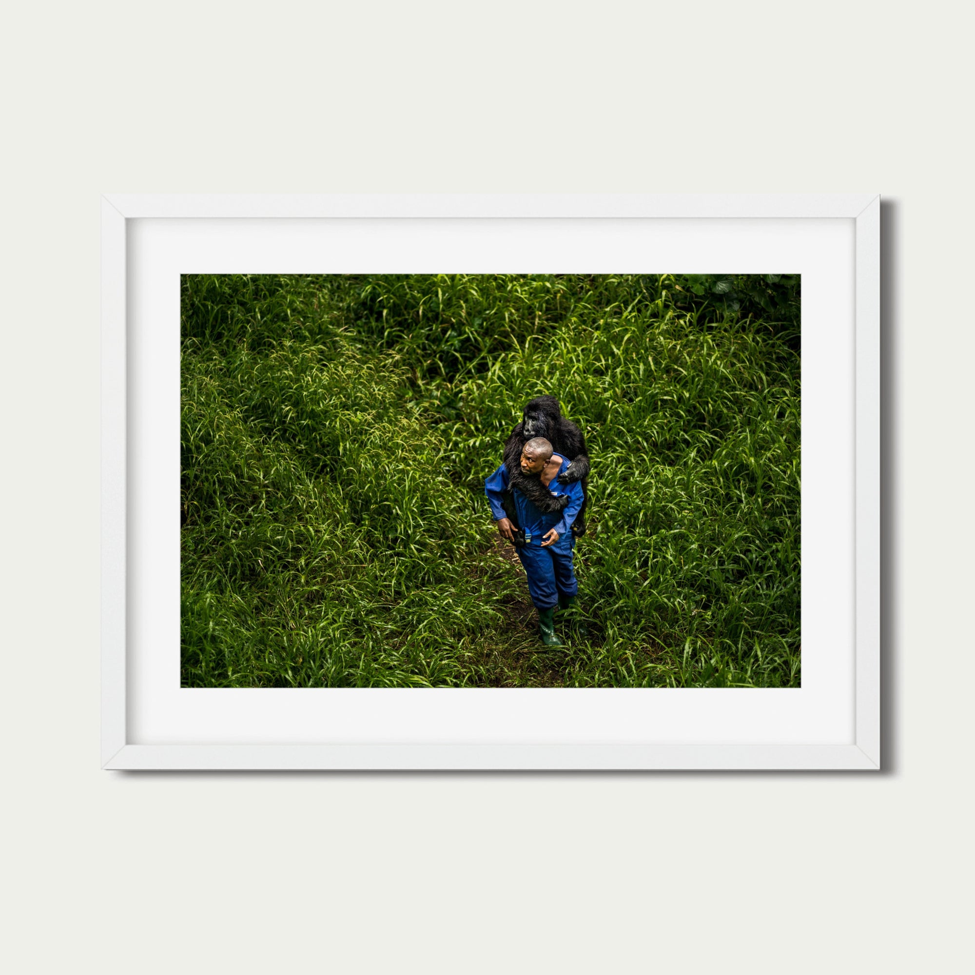 André (28 x 42") (Print 1 of 7)