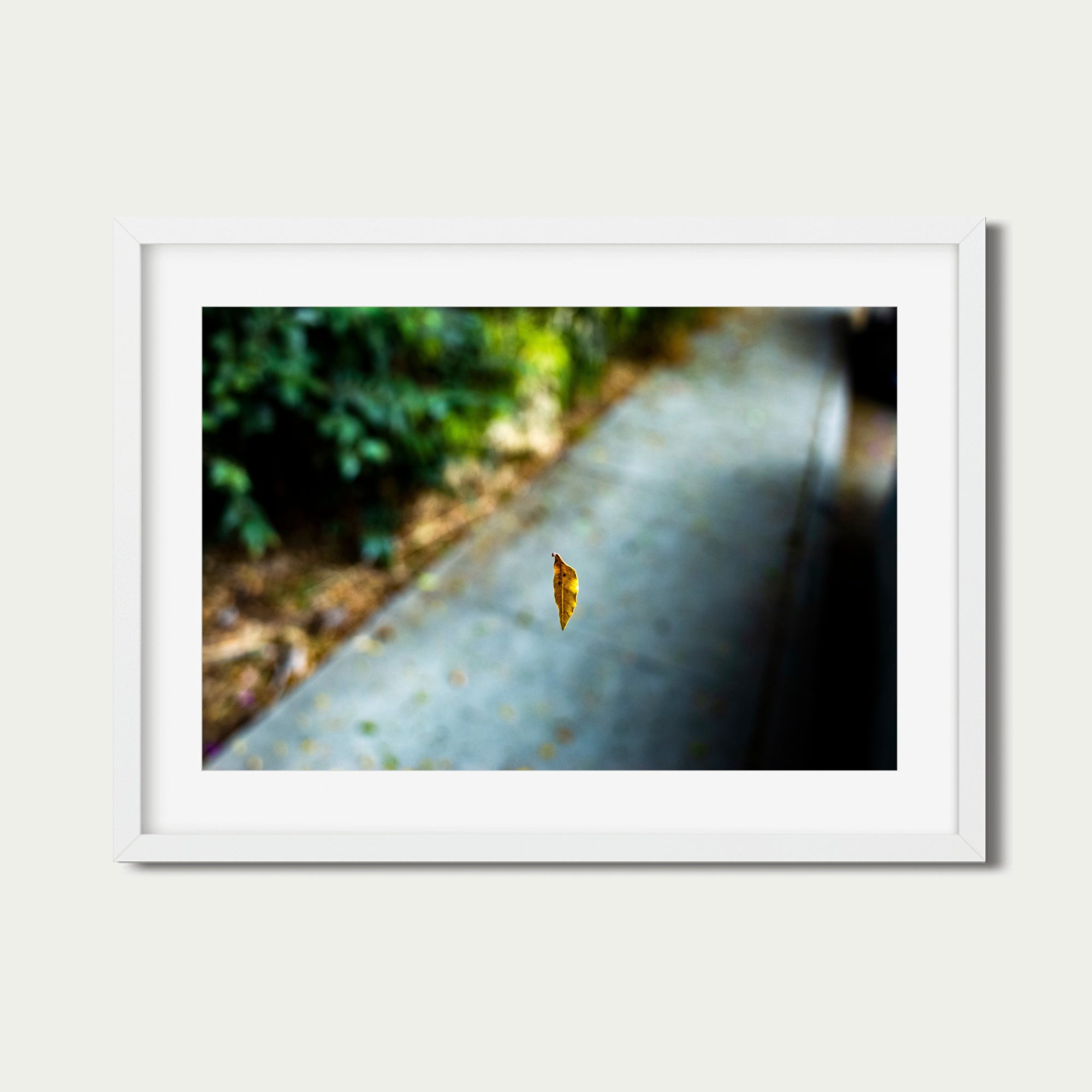 Spider Silk Leaf (8 x 12") (Print 1 of 5)