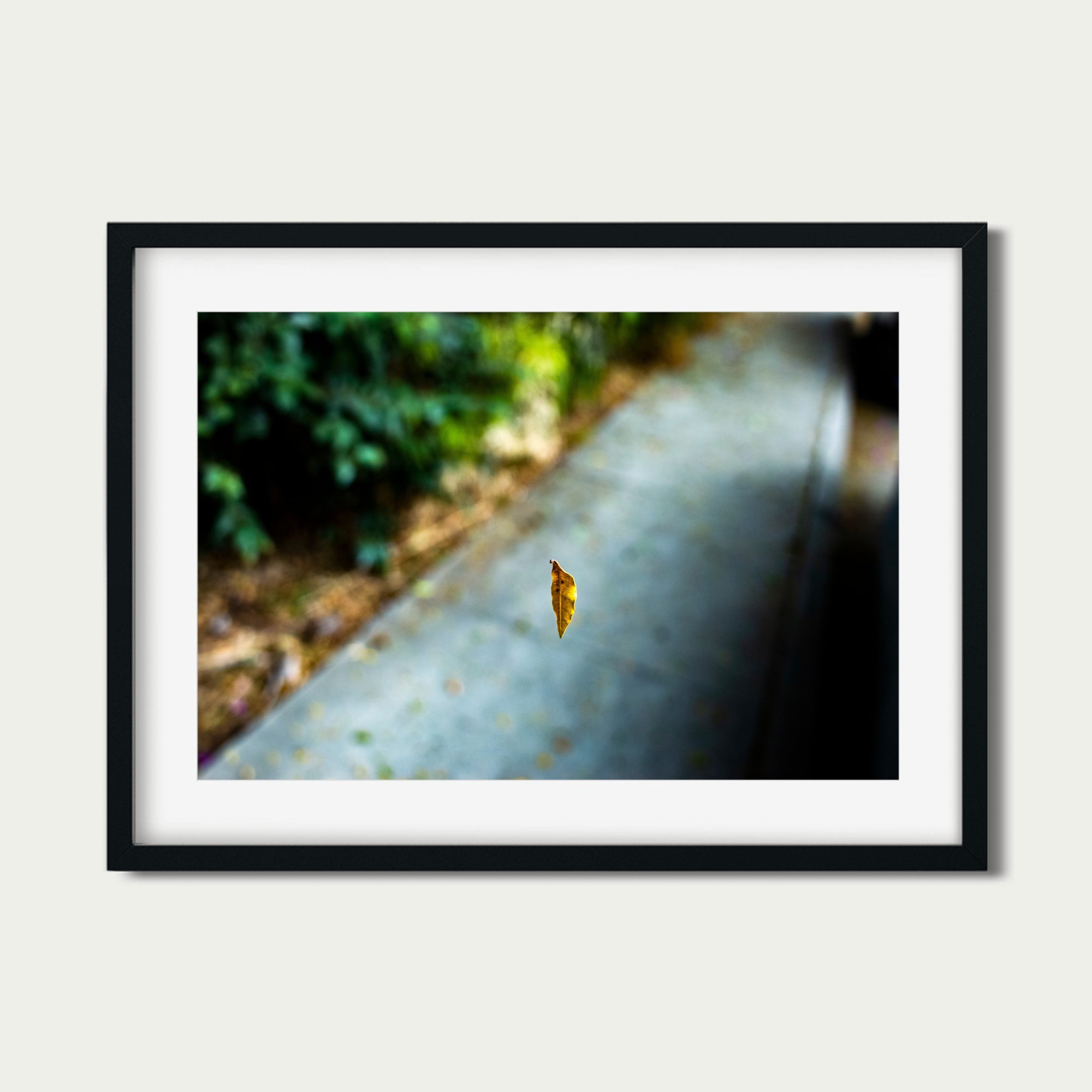 Spider Silk Leaf (8 x 12") (Print 1 of 5)
