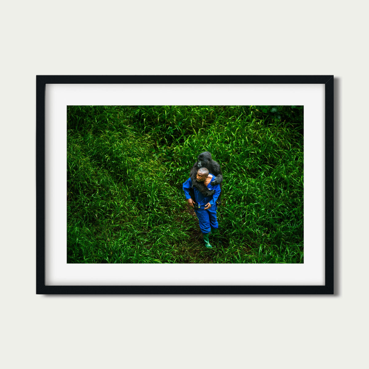 André (4 x 6") (Edición de 50)