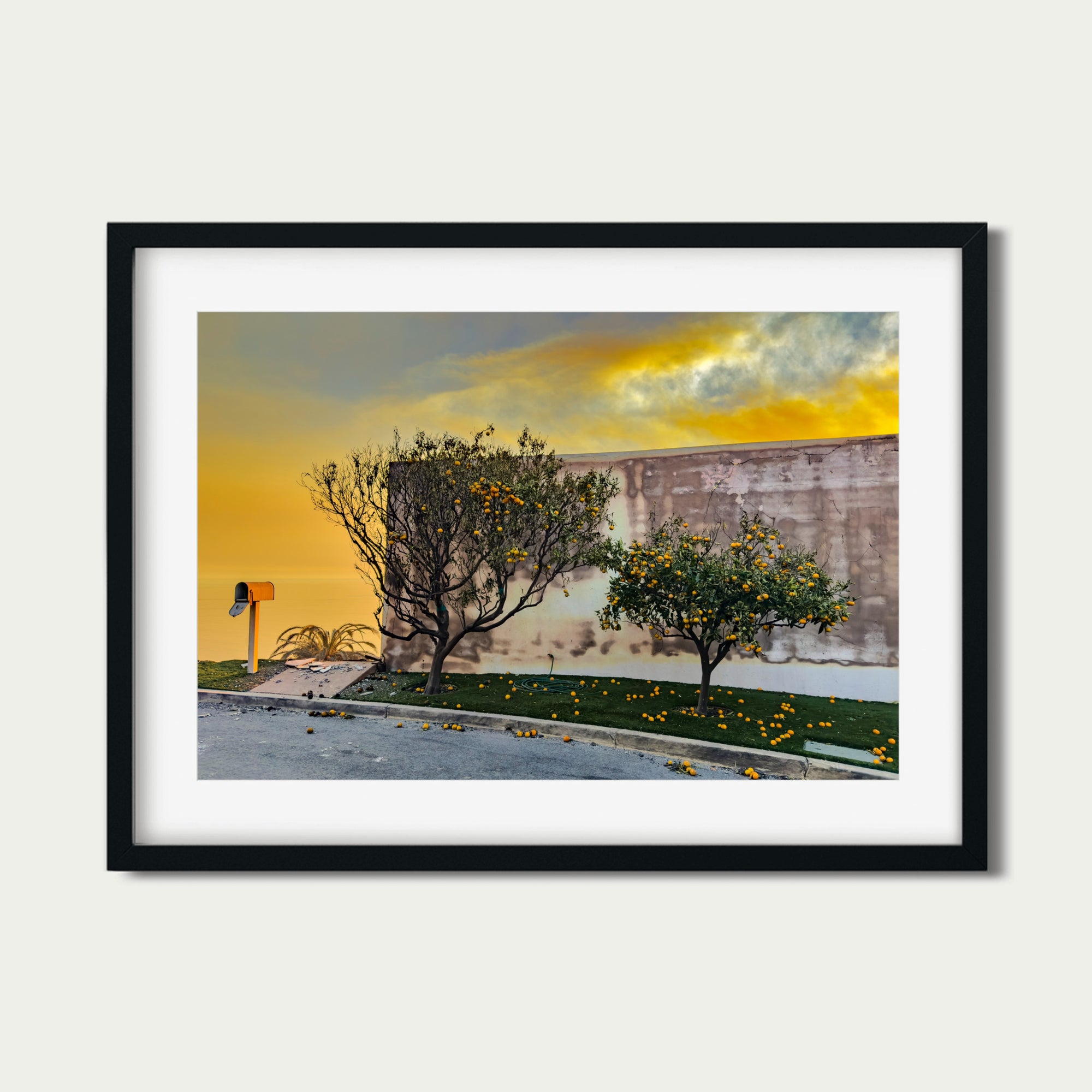 Lemons (4 x 6") (Edition of 25)